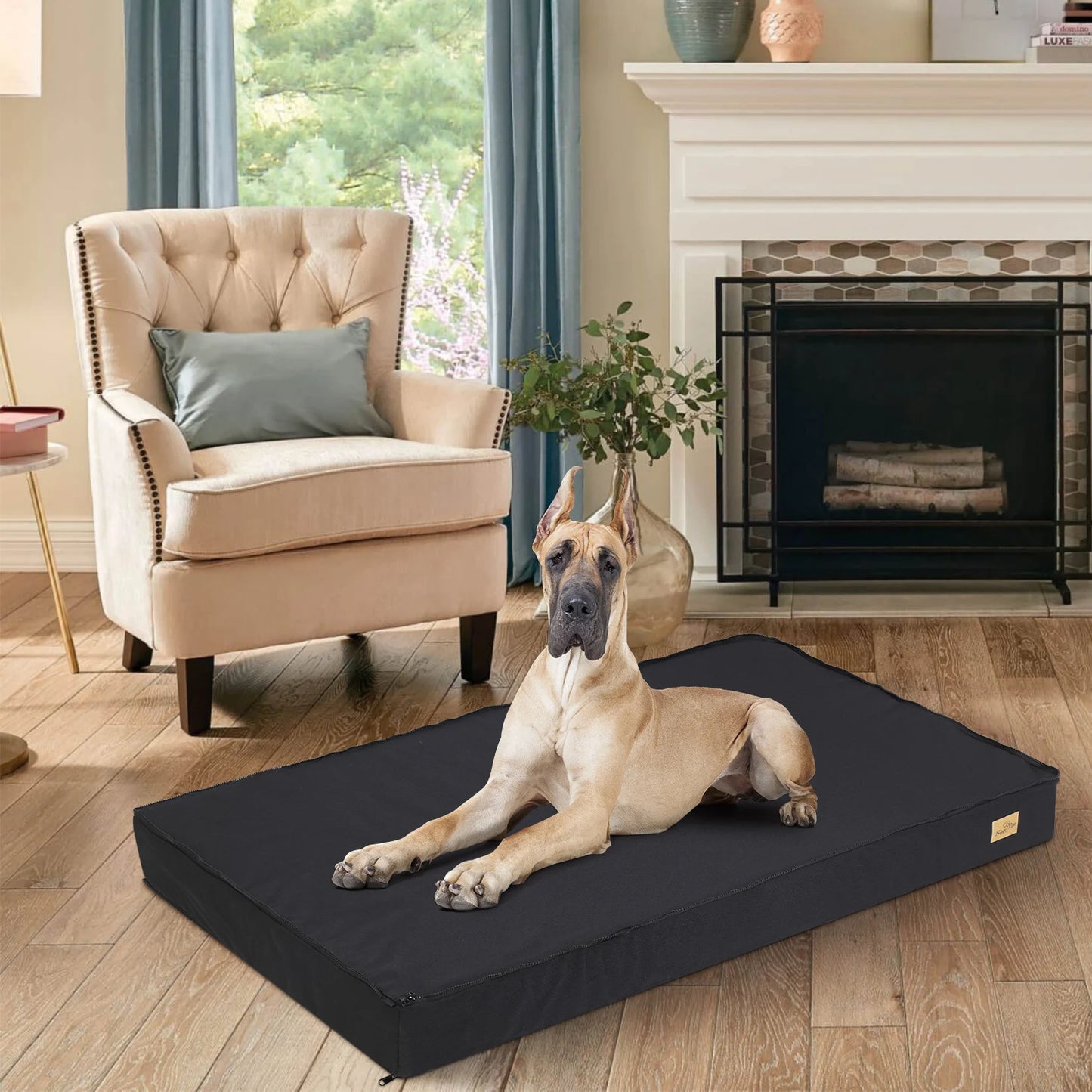 Orthopedic Dog Beds for Medium & Large Dogs - Machine Washable
