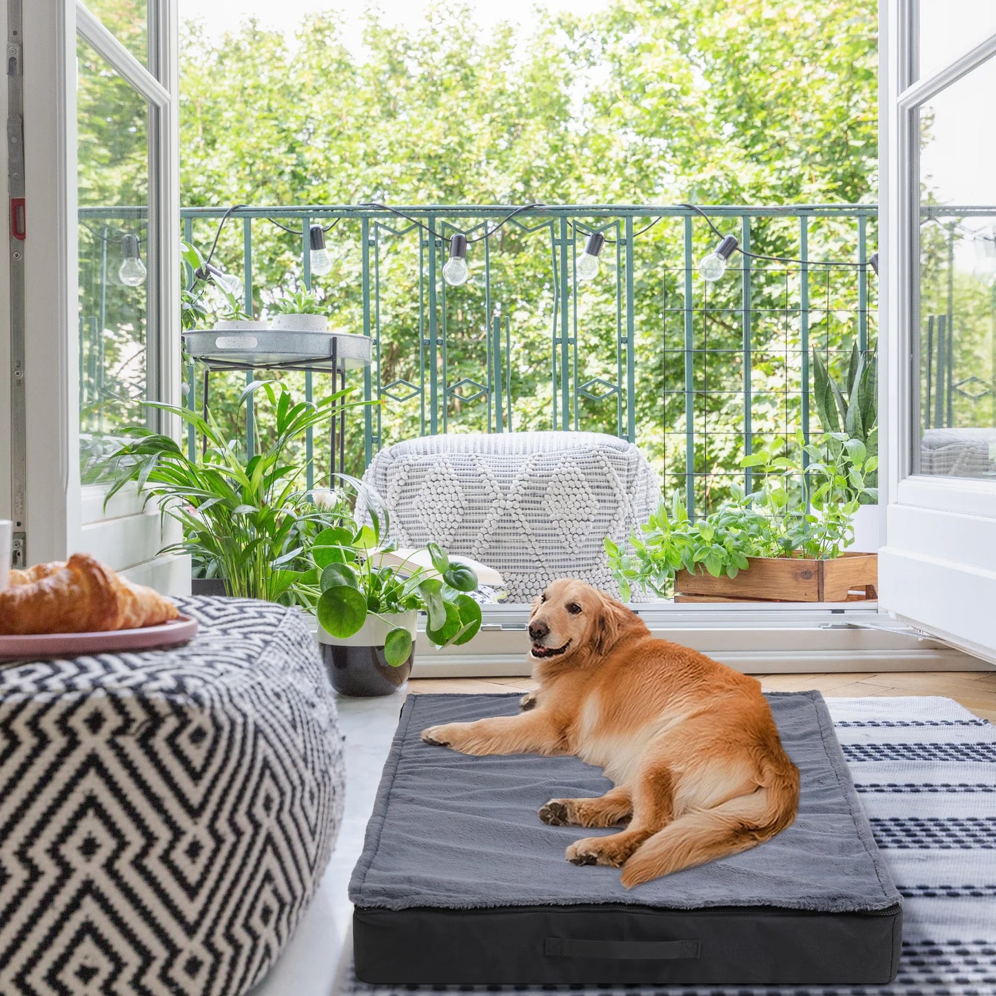 Orthopedic Dog Beds for Medium & Large Dogs - Machine Washable