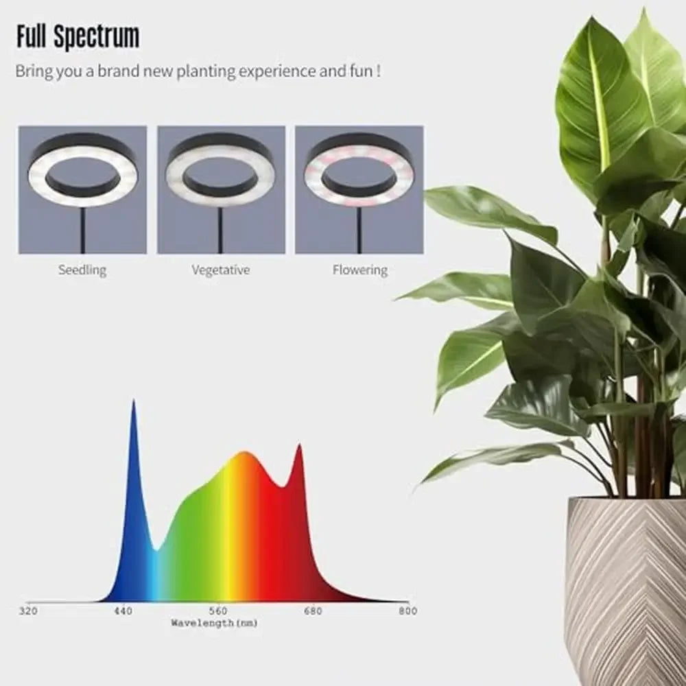60W Full Spectrum LED Grow Light with Stand, Timer & Adjustable Height – Black