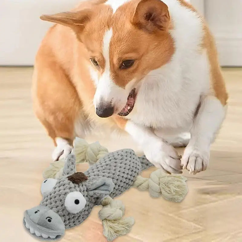 Plush Squeaky Dog Chew Toys – Crinkle, Rope & Stuffed Animal