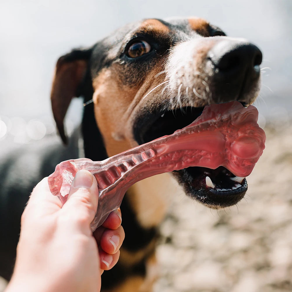 MASBRILL Indestructible Bone-Shaped Dog Toy - Teeth Cleaning for Aggressive Chewers (Large Dogs)