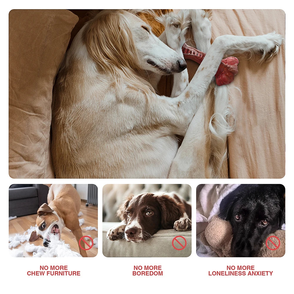 MASBRILL Indestructible Bone-Shaped Dog Toy - Teeth Cleaning for Aggressive Chewers (Large Dogs)