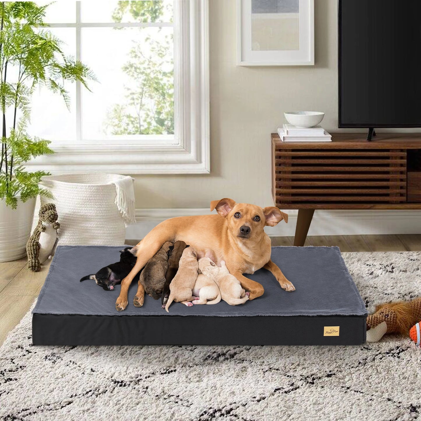 Orthopedic Dog Beds for Medium & Large Dogs - Machine Washable