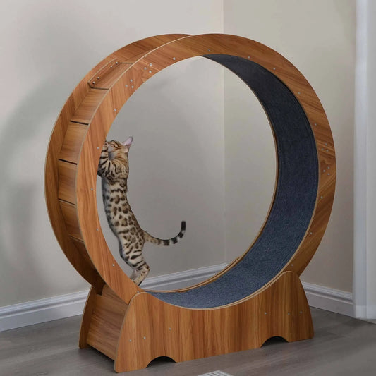 Large Cat Exercise Wheel - Wooden/PVC Treadmill