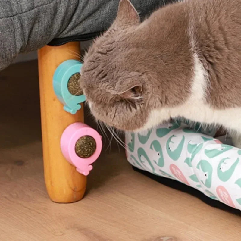 Catnip Wall Ball Licking Spherical Teeth Cleaning Toy