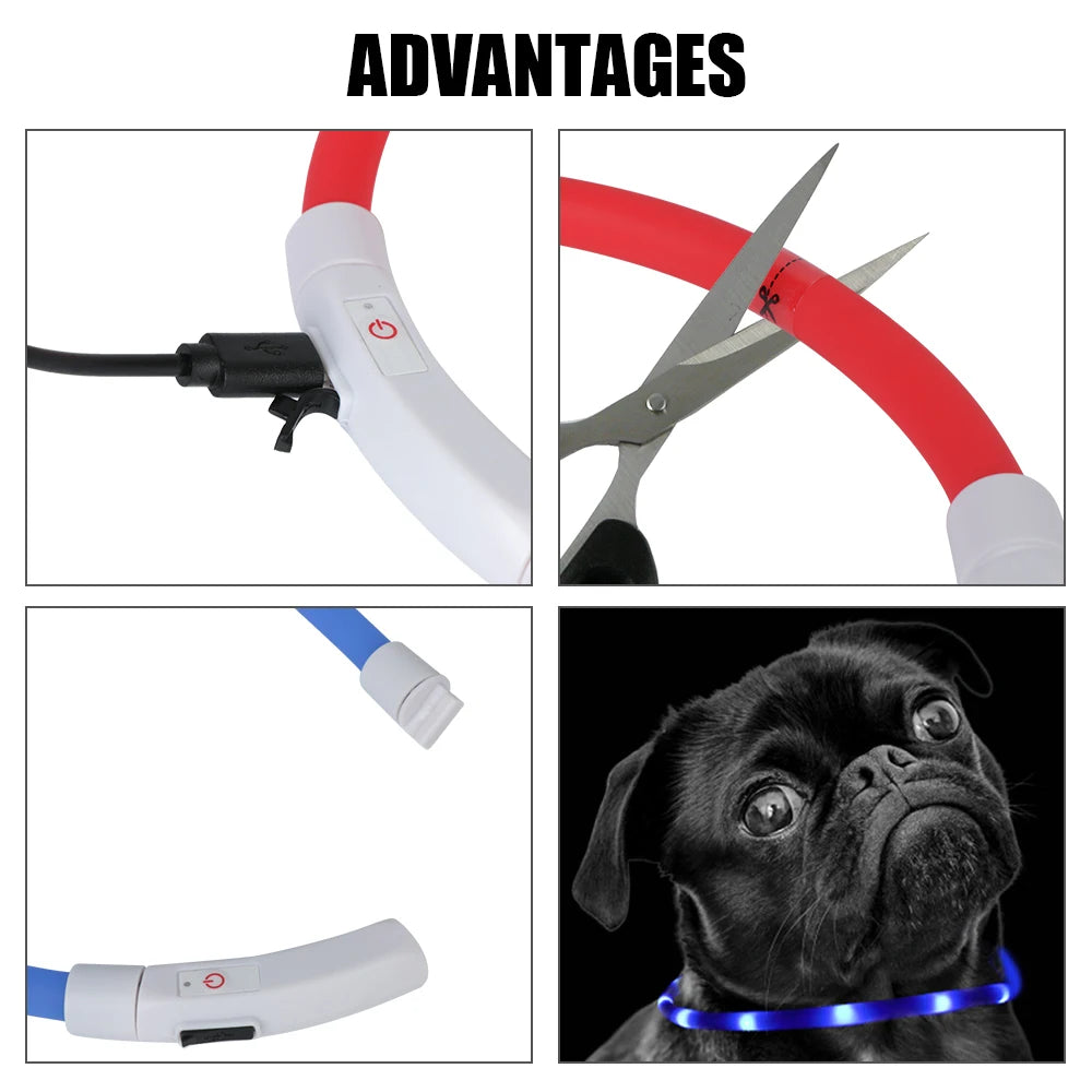 Luminous LED USB Dog Collar, Night Safety Flashing Glow