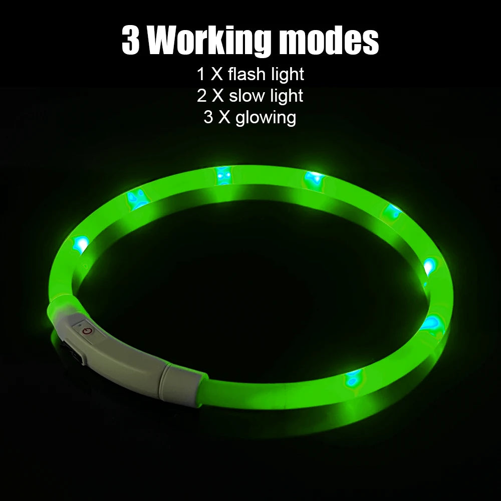 Luminous LED USB Dog Collar, Night Safety Flashing Glow