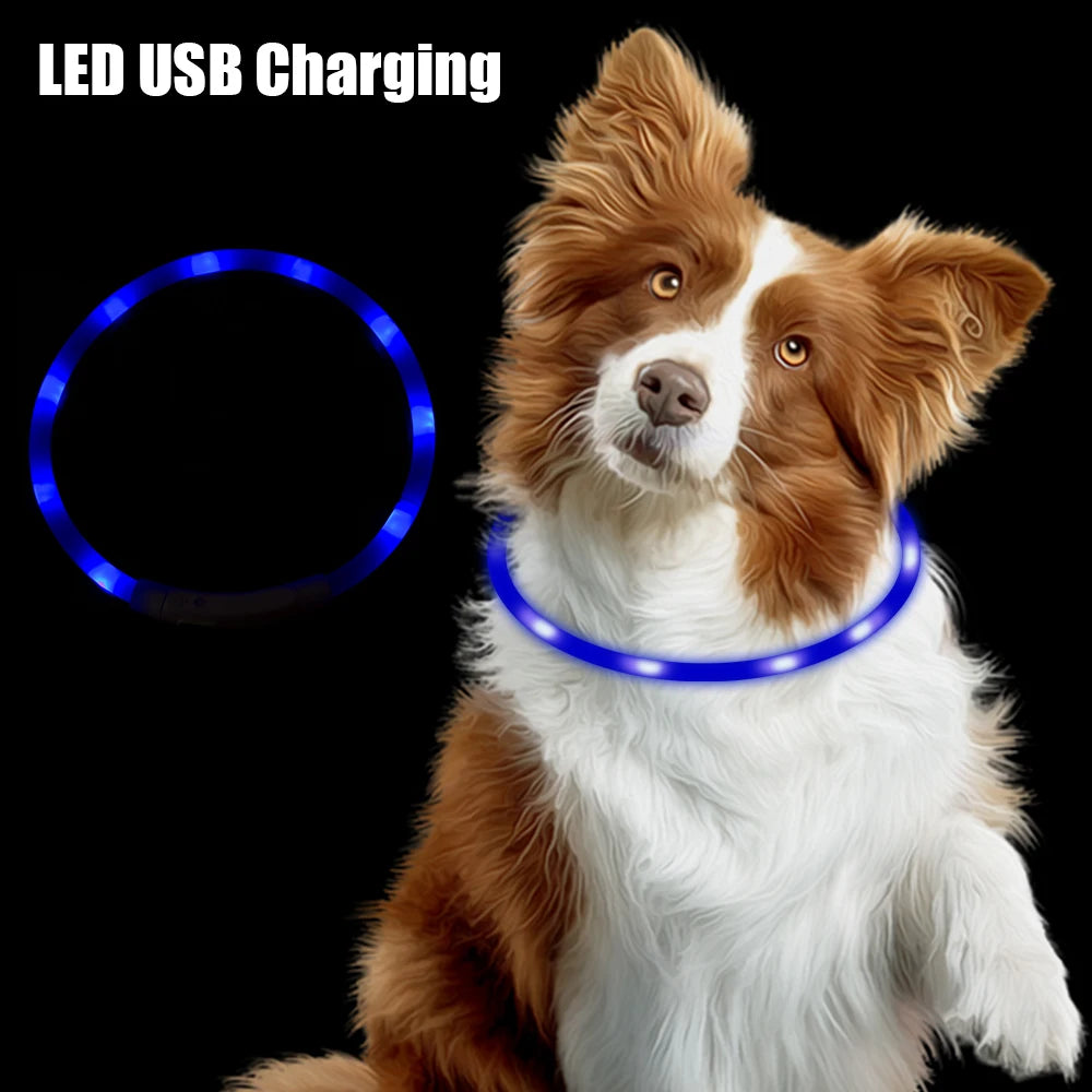 Luminous LED USB Dog Collar, Night Safety Flashing Glow