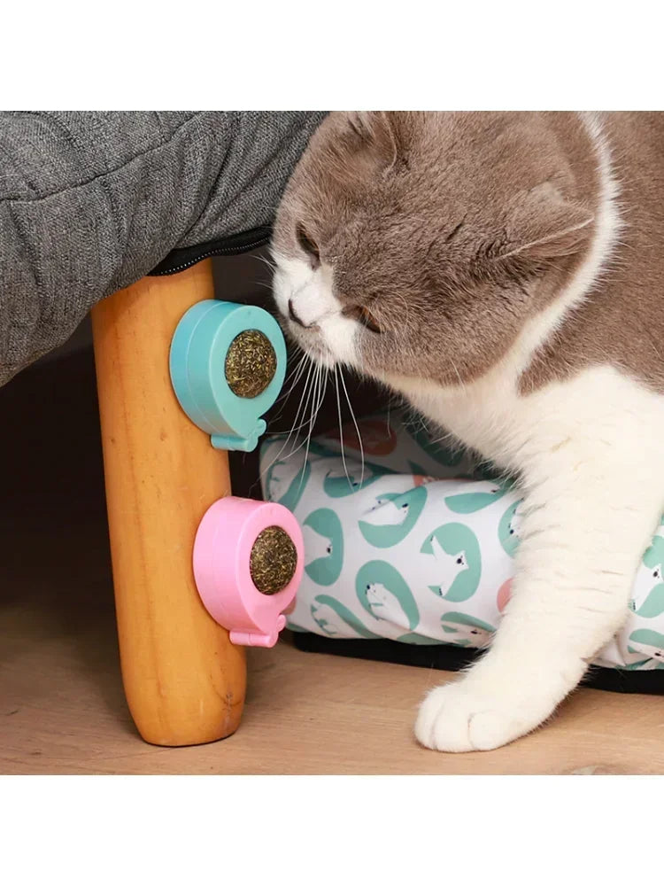 Catnip Wall Ball Licking Spherical Teeth Cleaning Toy