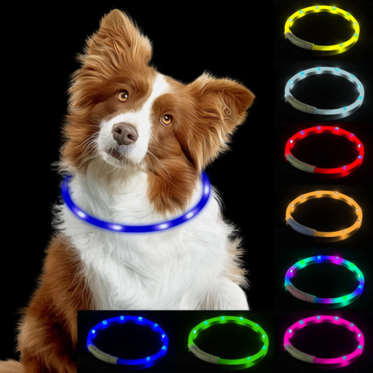 Luminous LED USB Dog Collar, Night Safety Flashing Glow