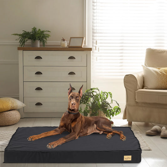 Orthopedic Dog Beds for Medium & Large Dogs - Machine Washable