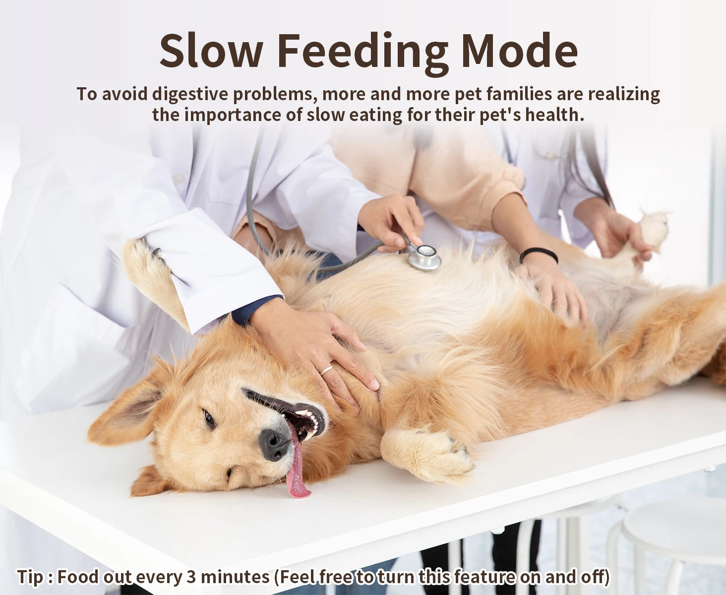 Smart Automatic Pet Feeders WiFi with APP Control for Remote Feeding Detachable for Easy Clean Large 6L capacity